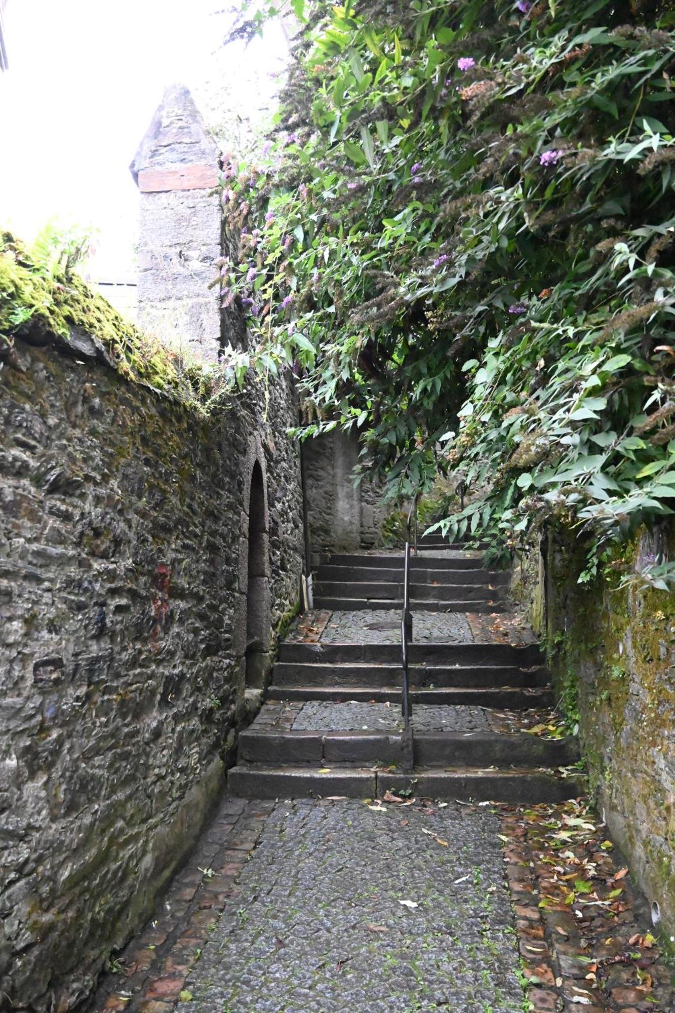 Jardin Madeleine Lägenhet Morlaix Exteriör bild