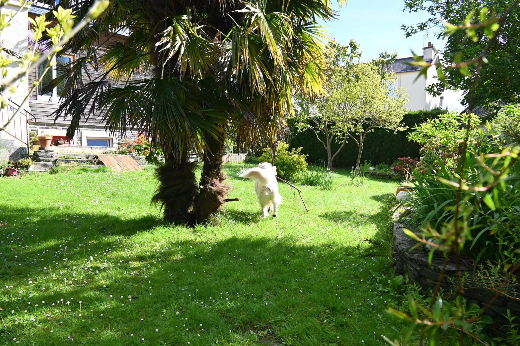 Jardin Madeleine Lägenhet Morlaix Exteriör bild